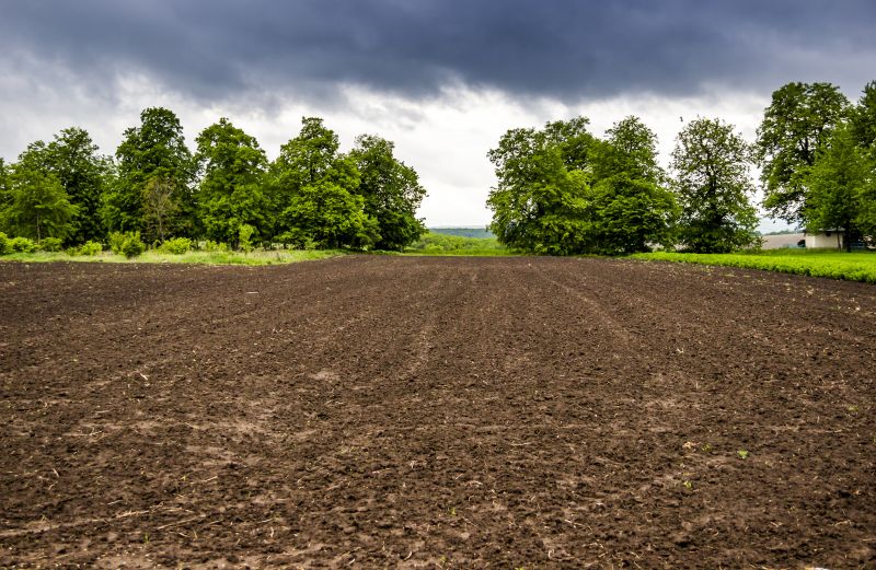 Field Clearing in Atlanta, GA